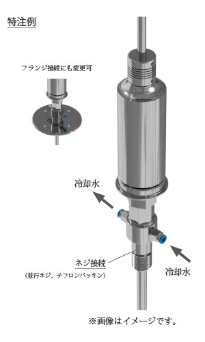 特注例